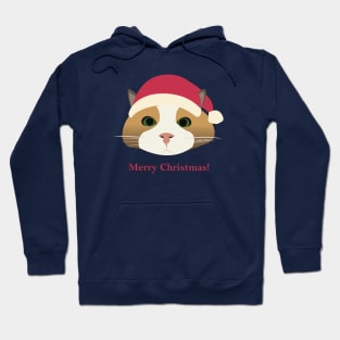 Merry Christmas Hoodie